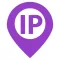 IP & Domain Info Tool