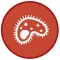 Infectious Orders ( اوردر عفونی )