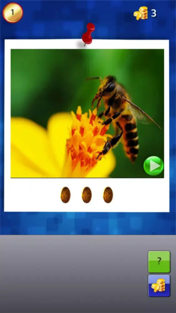 ภาพหน้าจอของ Animals Sound Quiz