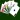 Solitaire game