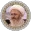 Grand Ayatollah Jafar Sobhani