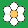 Floræ - Linnaeus' flower clock