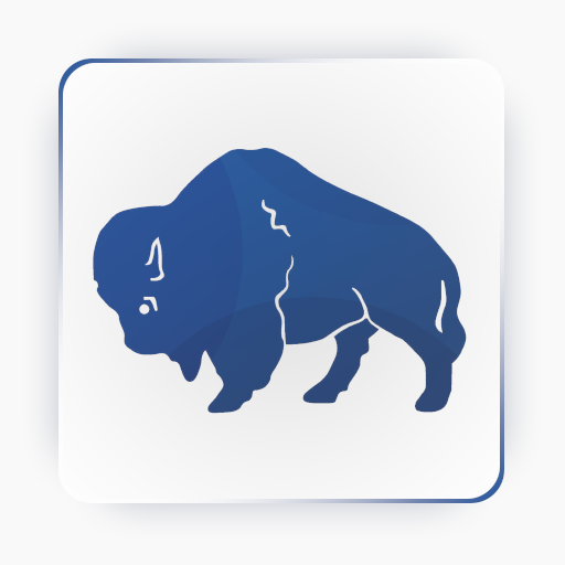 Buffalo Transportation Inc