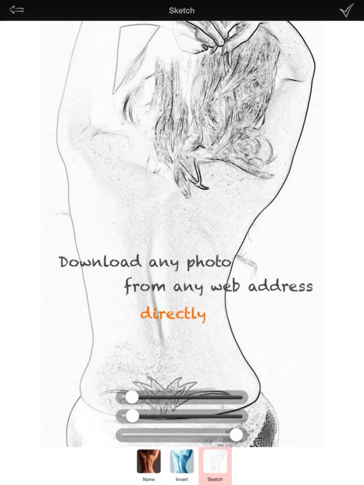 Ảnh chụp màn hình của iSketcher - Pencil and Sketch Effect iPad 