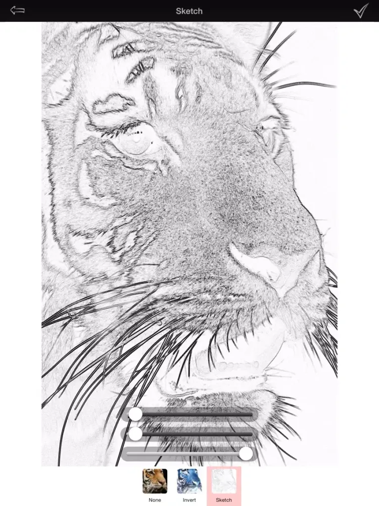 Ảnh chụp màn hình của iSketcher - Pencil and Sketch Effect iPad 