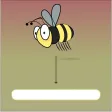 Match words and pictures