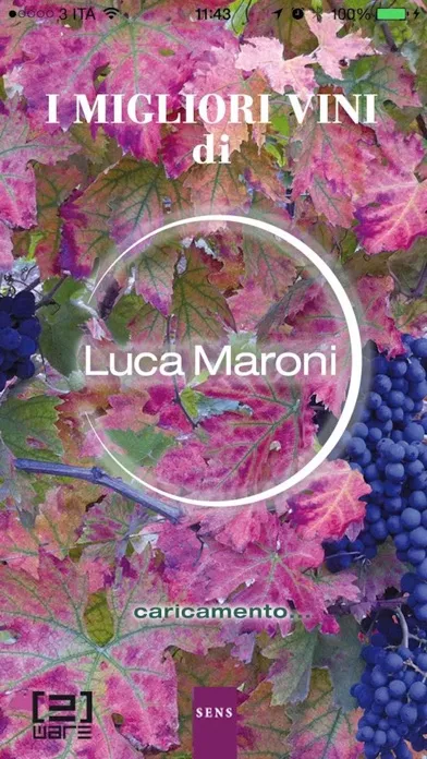 i Migliori Vini di Luca Maroni Screenshots