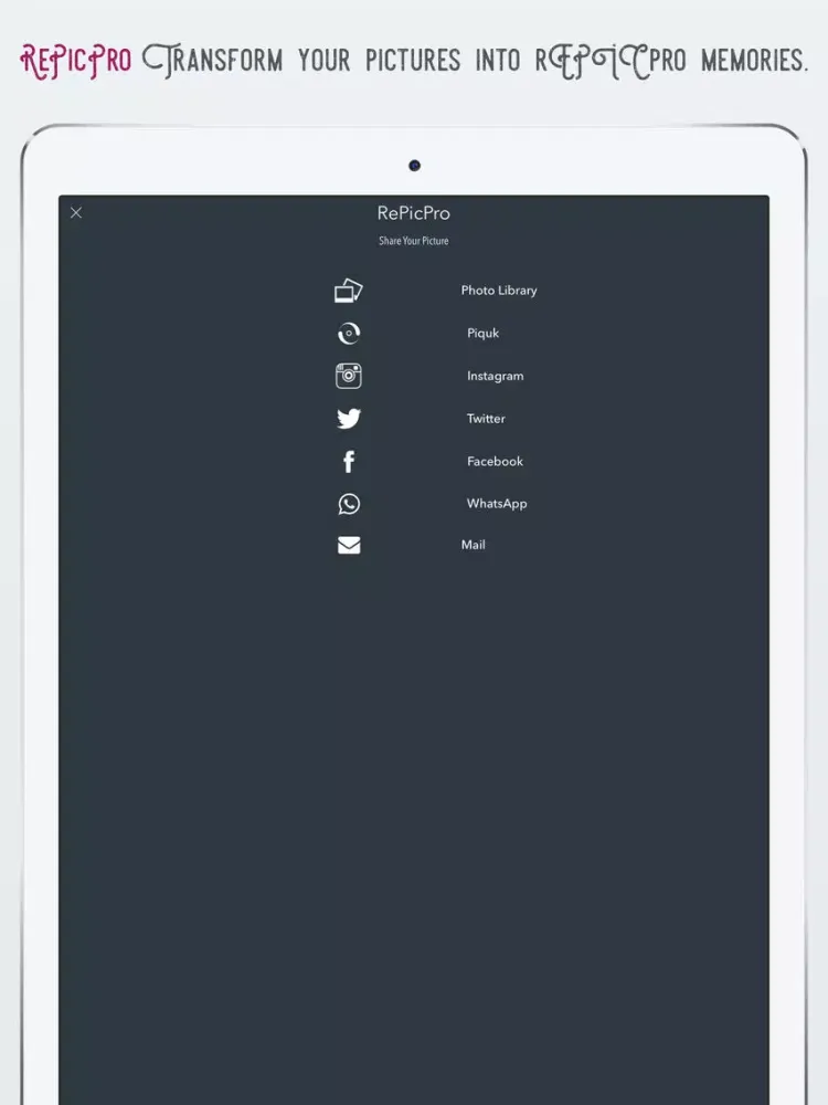 Tangkapan layar RePicPro iPad 