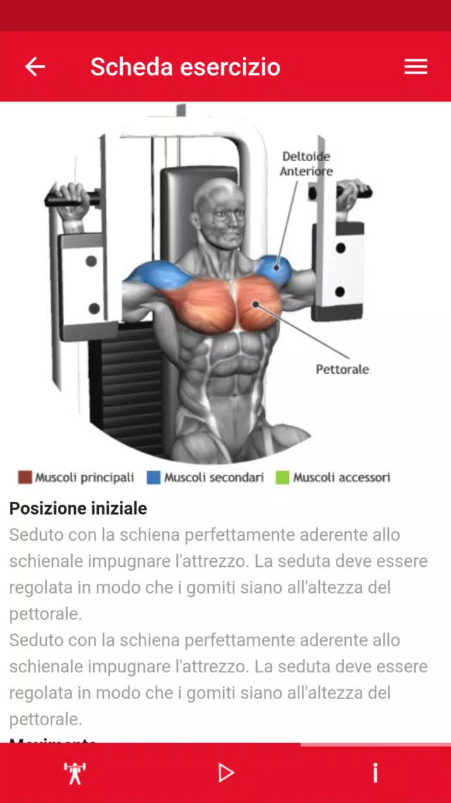 Screenshot di ADEF CENTRO STUDI MOVIMENTO