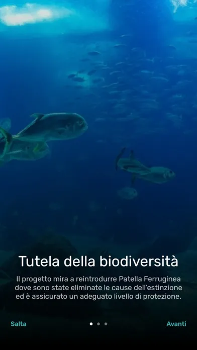 AMP Portofino Screenshots