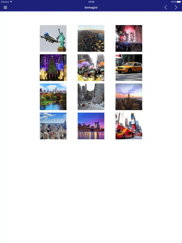 Zrzuty ekranu New York in App - Mappa, offerte ed informazioni iPad 