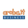 Aruba Business
