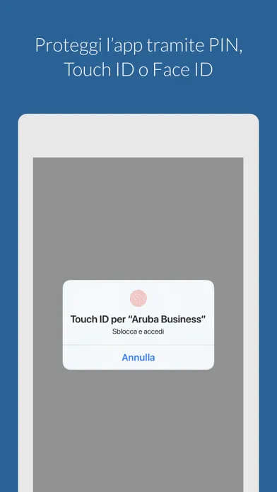 Aruba Business Ekran Görüntüleri