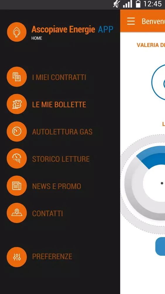 Capturas de tela do AscopiaveEnergie App gas luce