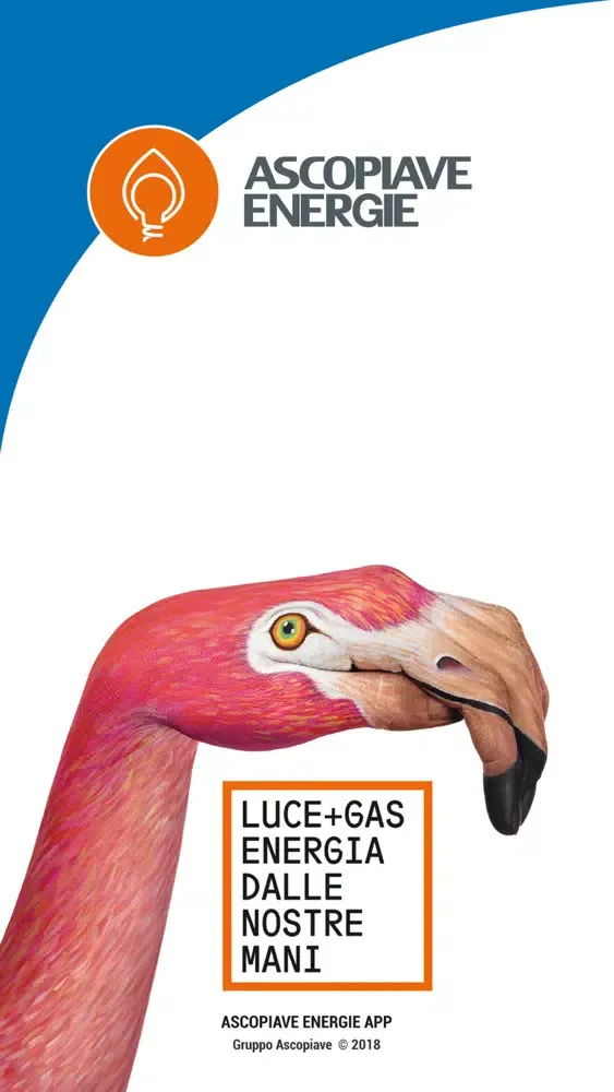 Capturas de tela do AscopiaveEnergie App gas luce
