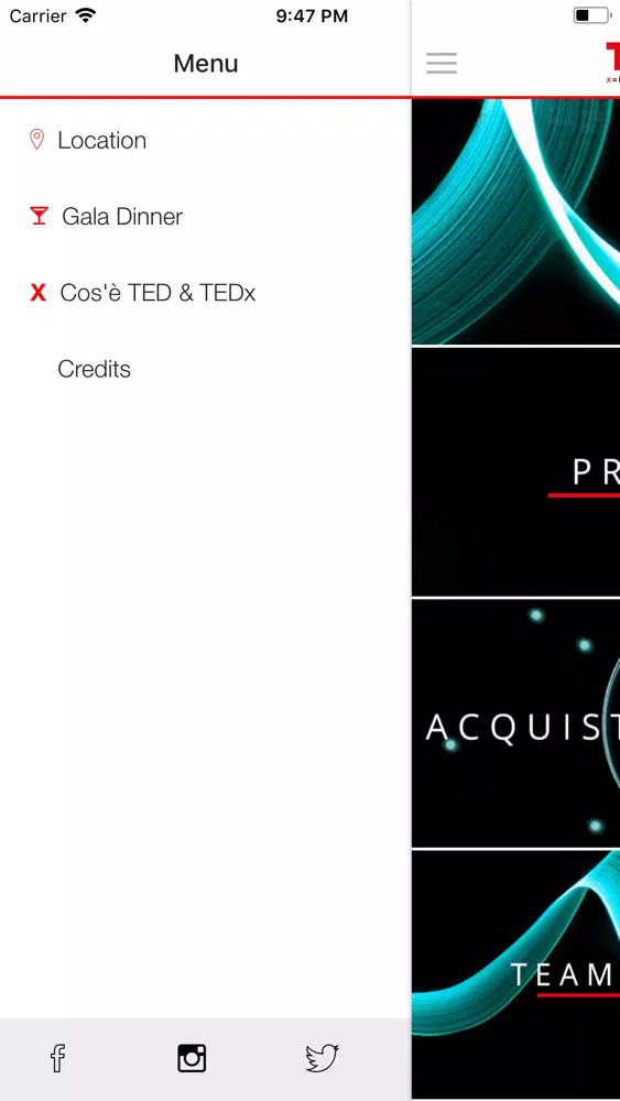 TEDxPadova スクリーンショット