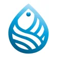 Origineblu Origineblu