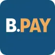 BLUBE Pay