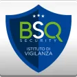 BSQ EasyView