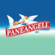RICETTARIO PANEANGELI