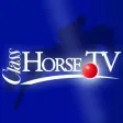 ClassHorse.TV