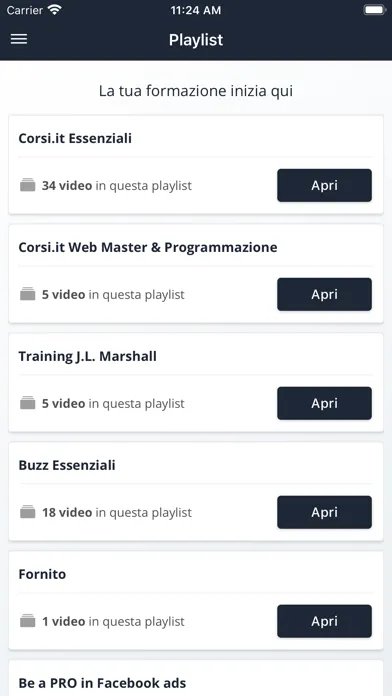 Capturas de pantalla de Corsi.it - Business