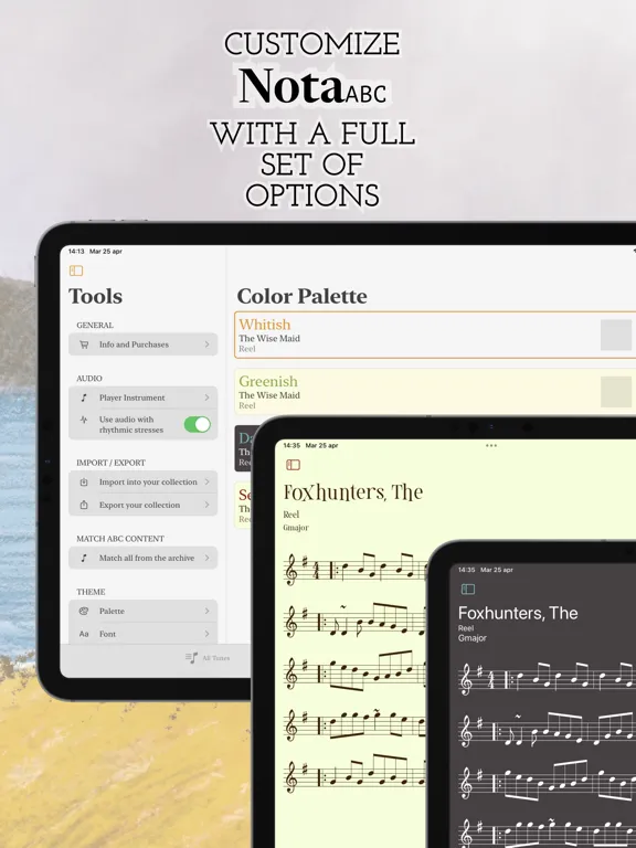 Nota ABC - Session Trad Tunes iPad স্ক্রিনশট