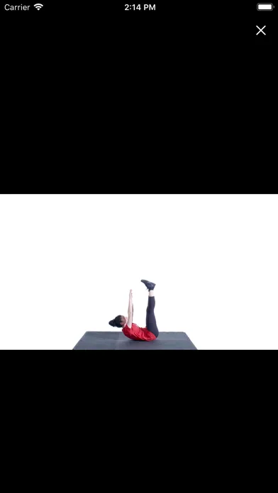 Capturas de tela do Fit4School
