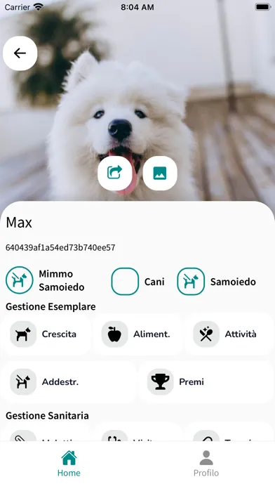 Captures d'écran de PetDegree