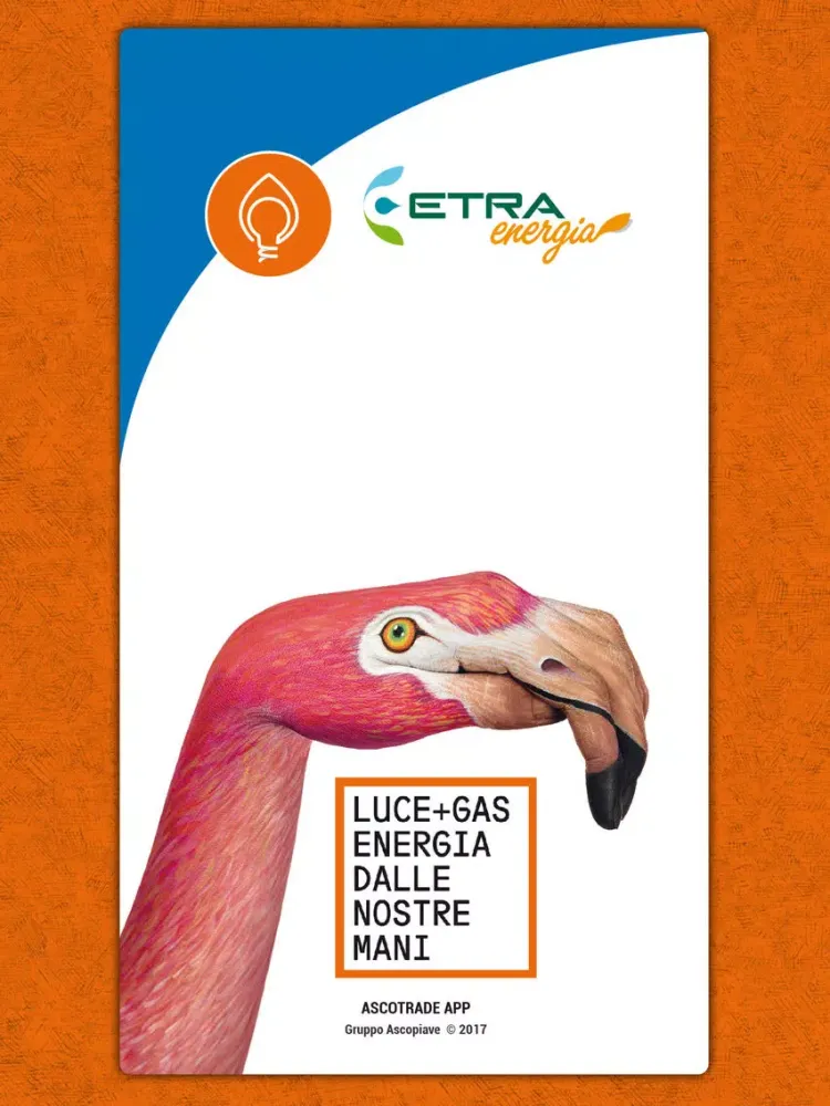 EtraEnergia App gas e luce iPad  स्क्रीनशॉट