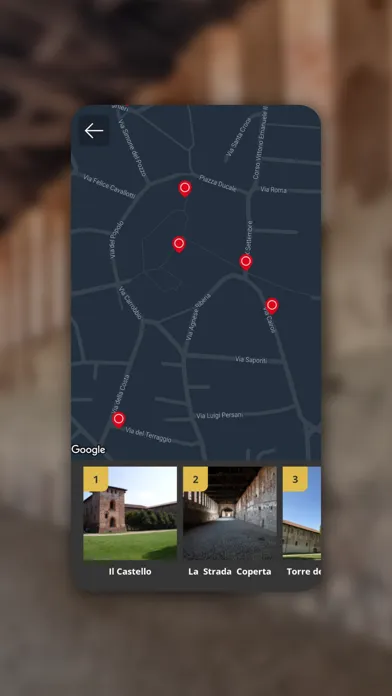 Vigevano Smart - MTD應用截圖