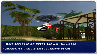 ภาพหน้าจอของ RC Heli 3