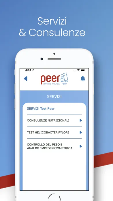 Tangkapan layar Peer Online
