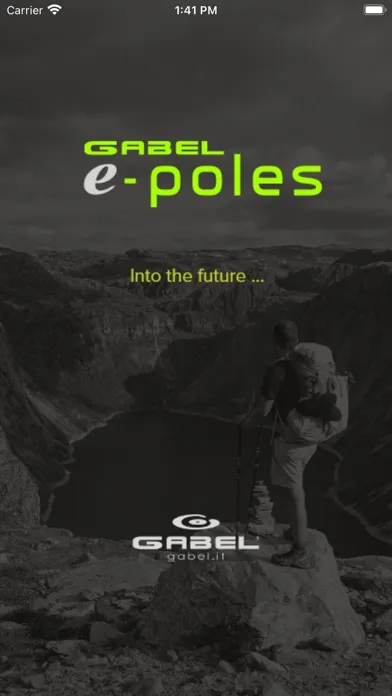 e-poles Screenshots