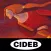 Dorothee- CIDEB