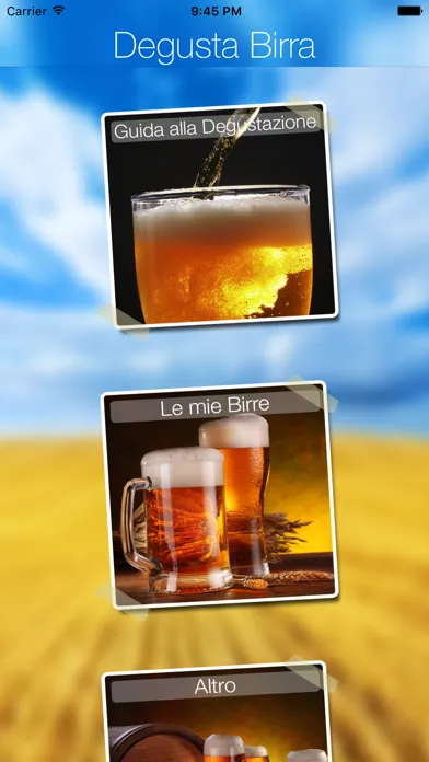 Скриншоты Degusta Birra