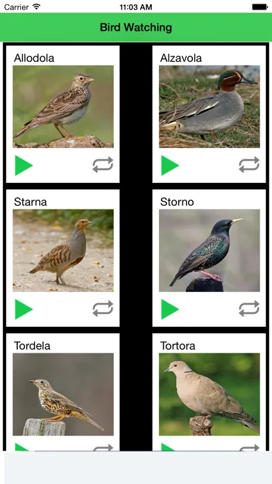 Richiamo Uccelli Bird Watching 스크린샷