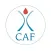 2019 CAF Conference