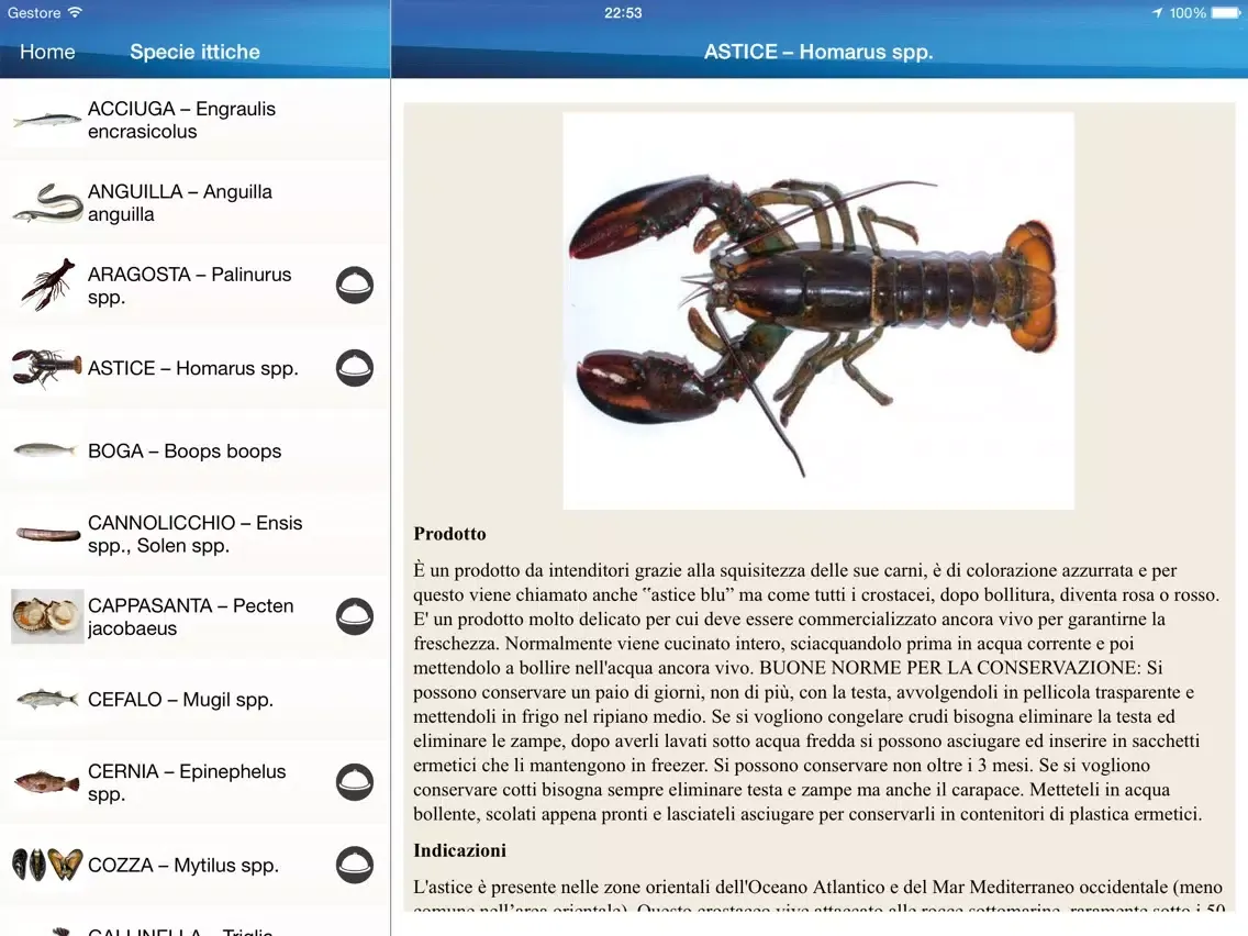 تصاویر Ricette di Pesce iPad 