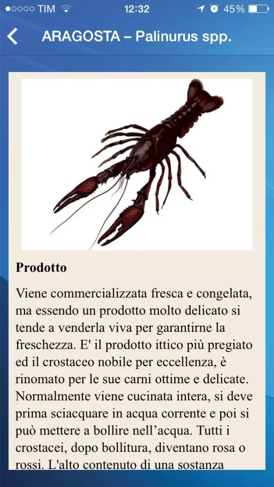 تصاویر Ricette di Pesce