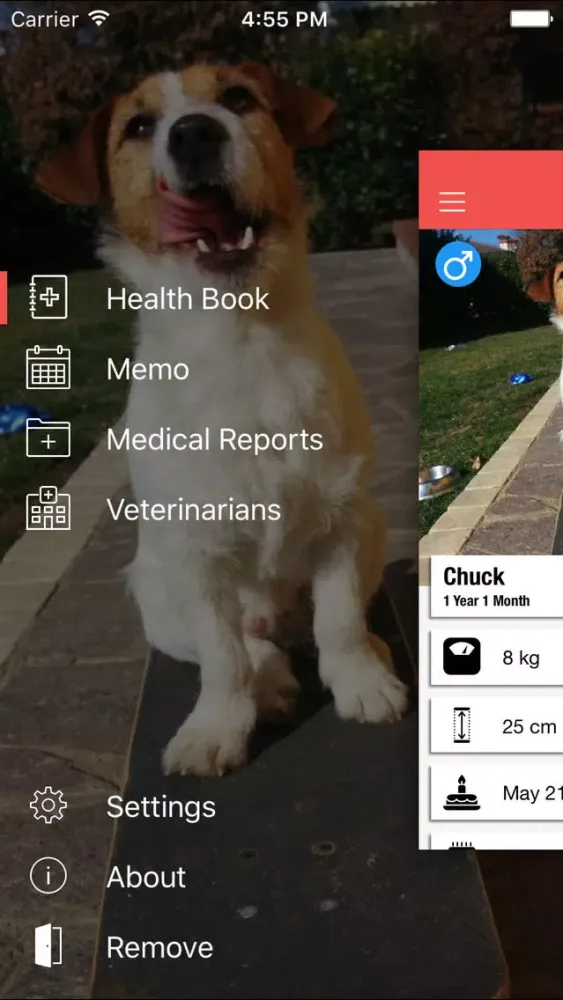 Tangkapan layar Dog Health - Take care of your puppy