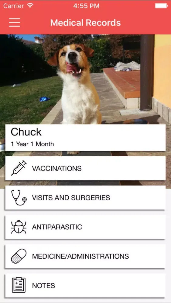 Tangkapan layar Dog Health - Take care of your puppy