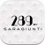 289 BAG