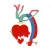 AORTA INDICATOR