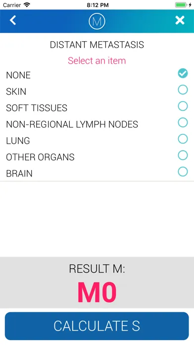MelApp - Melanoma Staging Ekran Görüntüleri