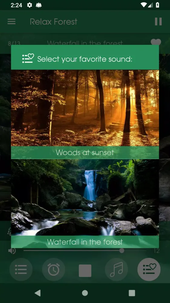 ภาพหน้าจอของ Relax Forest