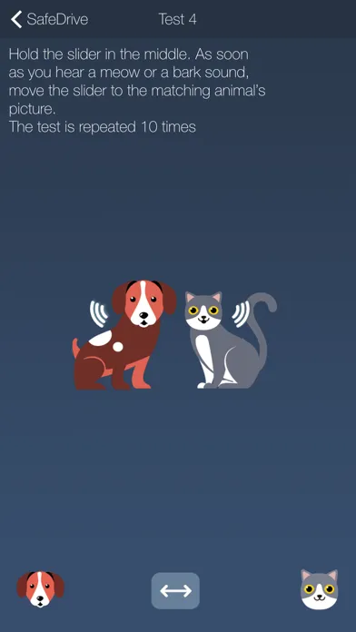 Screenshot di SafeDrive