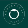 Monte Rosa 91