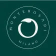 Monte Rosa 91