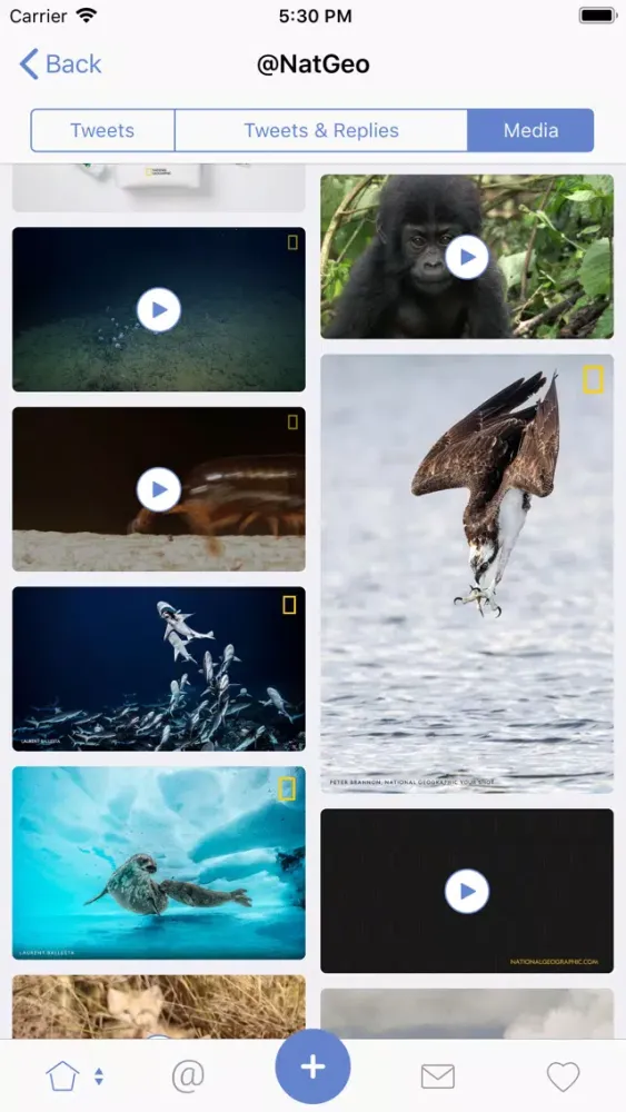 Ảnh chụp màn hình của Fenix for Twitter
